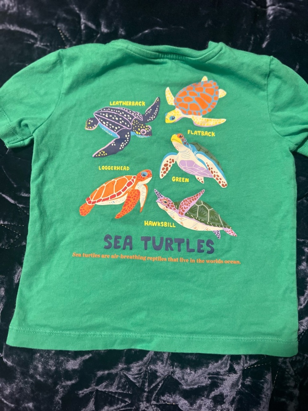 🐢 Mini Boden Turtles Tee